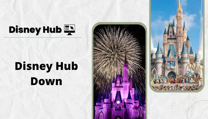 Disney Hub Down