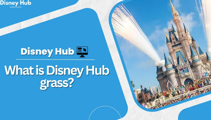 What is Disney Hub grass?